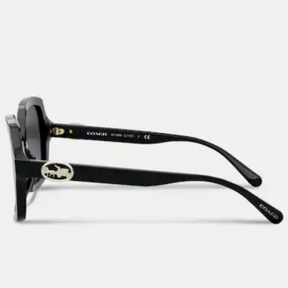 Coach Horse and Carriage Geometric Sunglasses Black - Picture 3 of 6